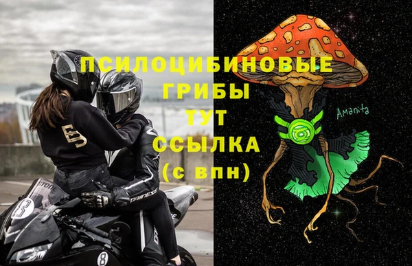 спайс Алексин