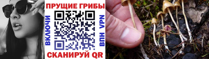 Псилоцибиновые грибы ЛСД  Руза 
