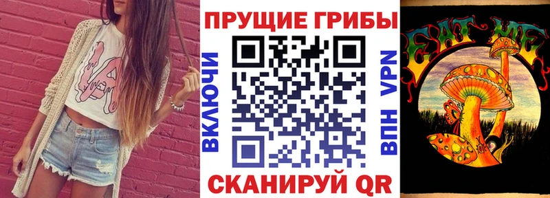 Псилоцибиновые грибы мицелий Руза