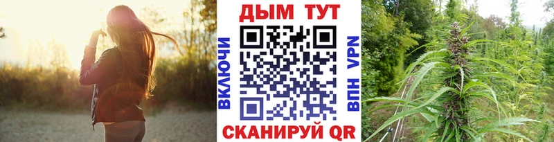 Бошки Шишки Bruce Banner  Руза 